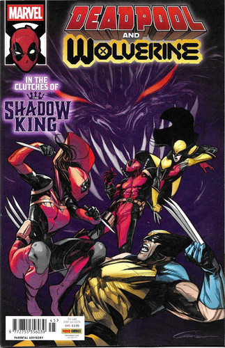 Deadpool and wolverine - wolverine, #45